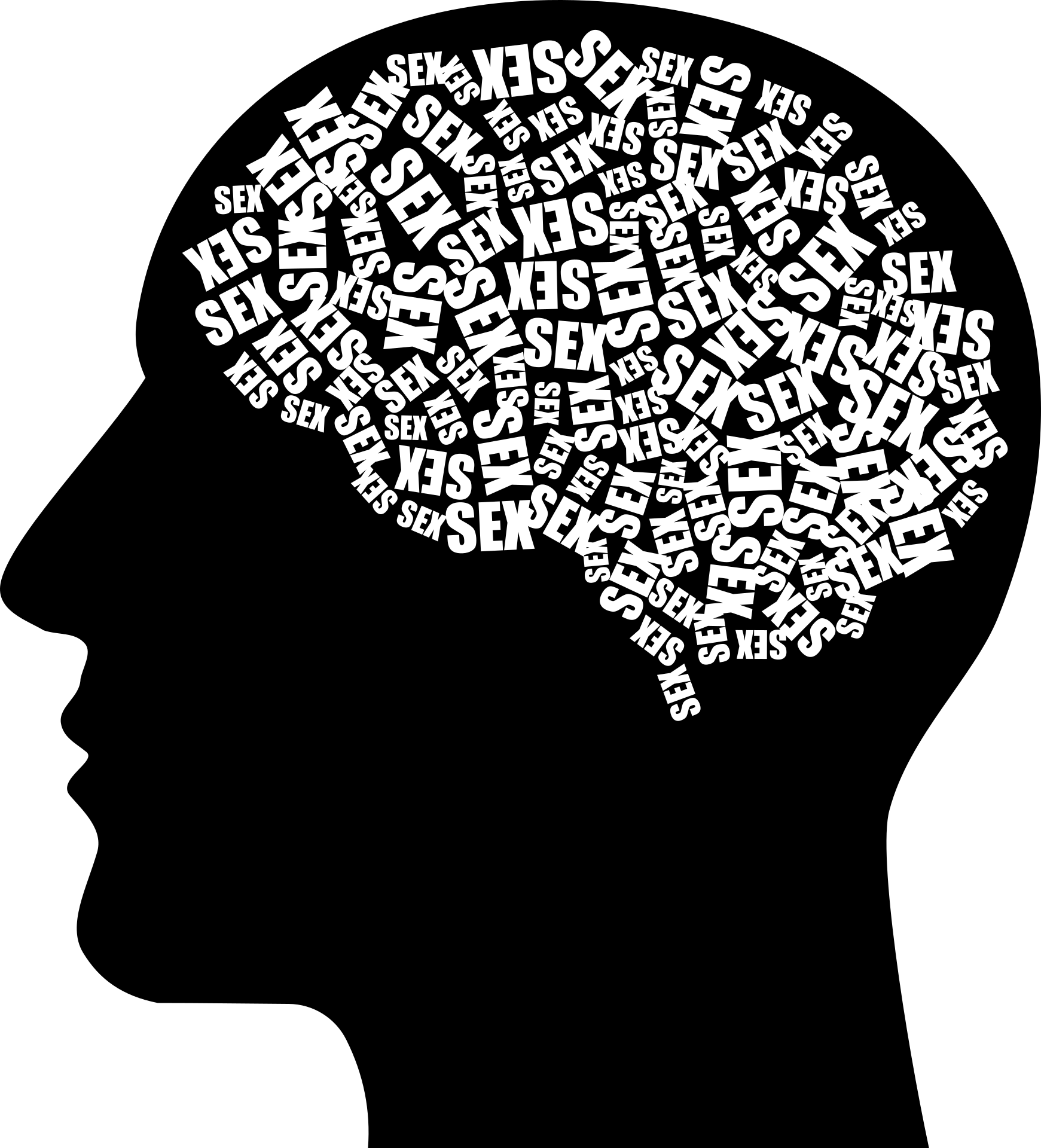cranium-2952566