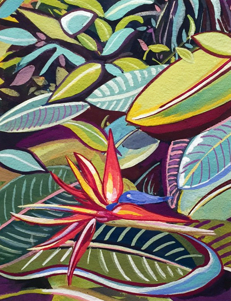 Bird of Paradise Miriam Zora Engel