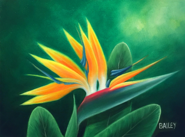 Bird of Paradise Bailey Leung