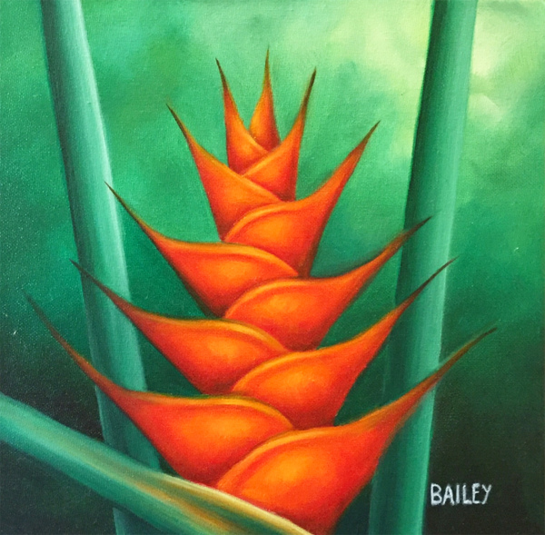 Bromeliad Bailey Leung