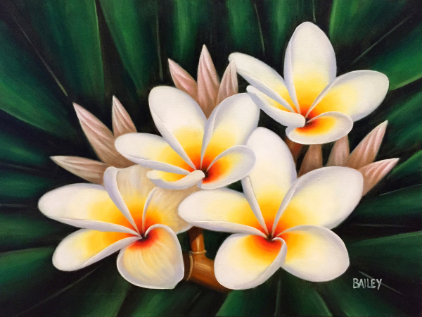 White Plumerias Bailey Leung