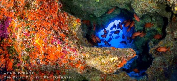 Makua Caves Chris Knight