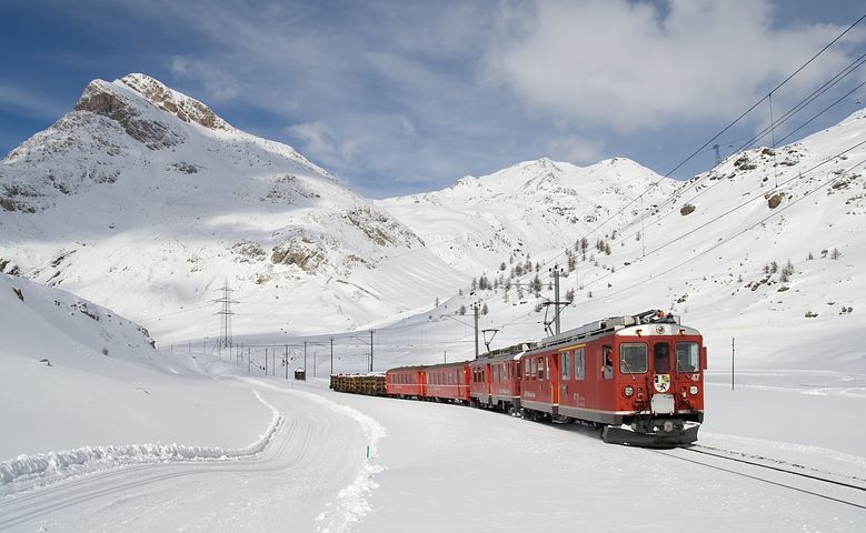 The Train in Winter