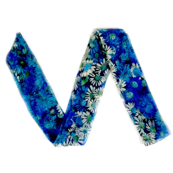 BLUE DAISIES 
$15.00
