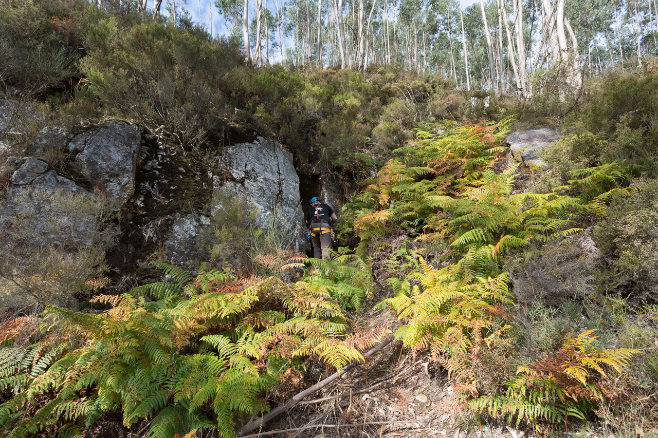 Fojo da Giesta &eacute; a mais recente publica&ccedil;&atilde;o no Carso e Endocarso