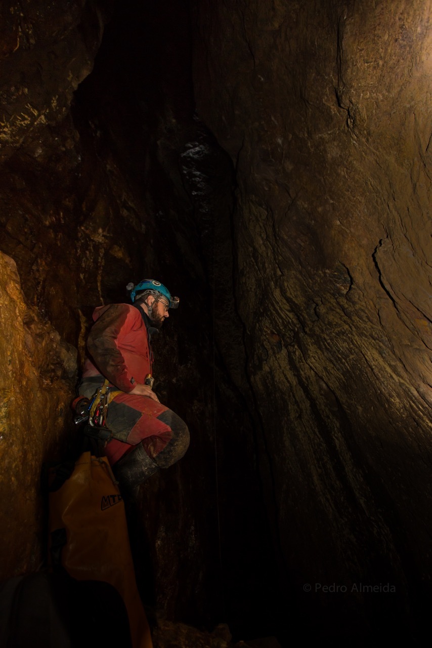 Nova publica&ccedil;&atilde;o do Carso e Endocarso: Fojo do Sard&atilde;o
