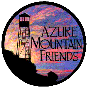 Friend of Azure