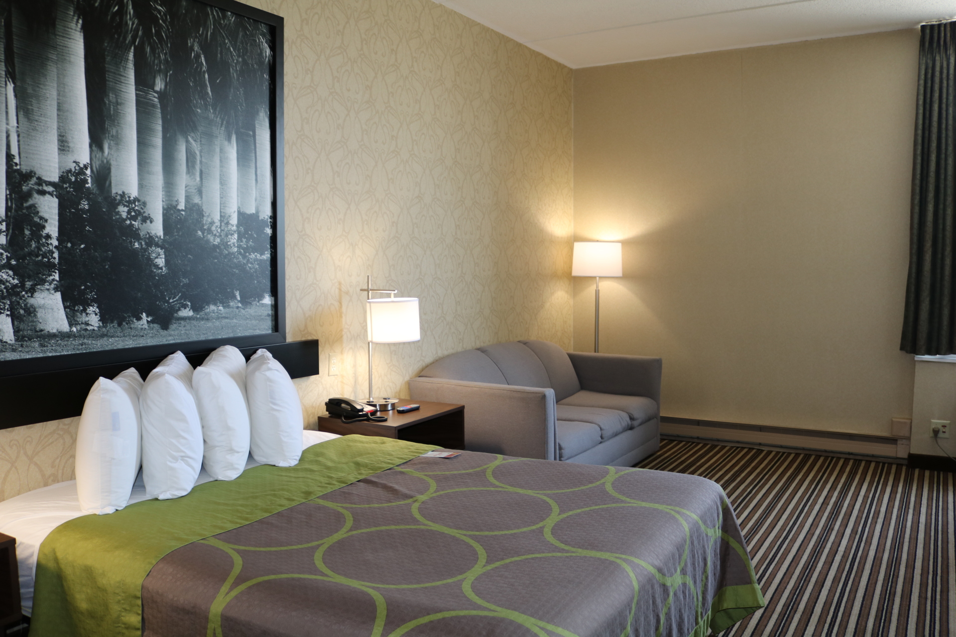 Queen Room with Kitchenette