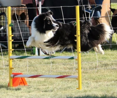 Agility