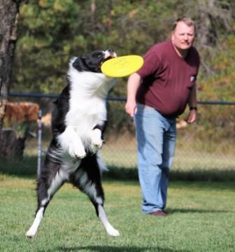 Frisbee