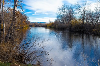 Snake River Fall