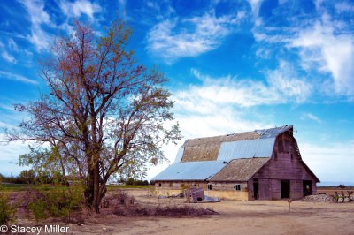 Barn