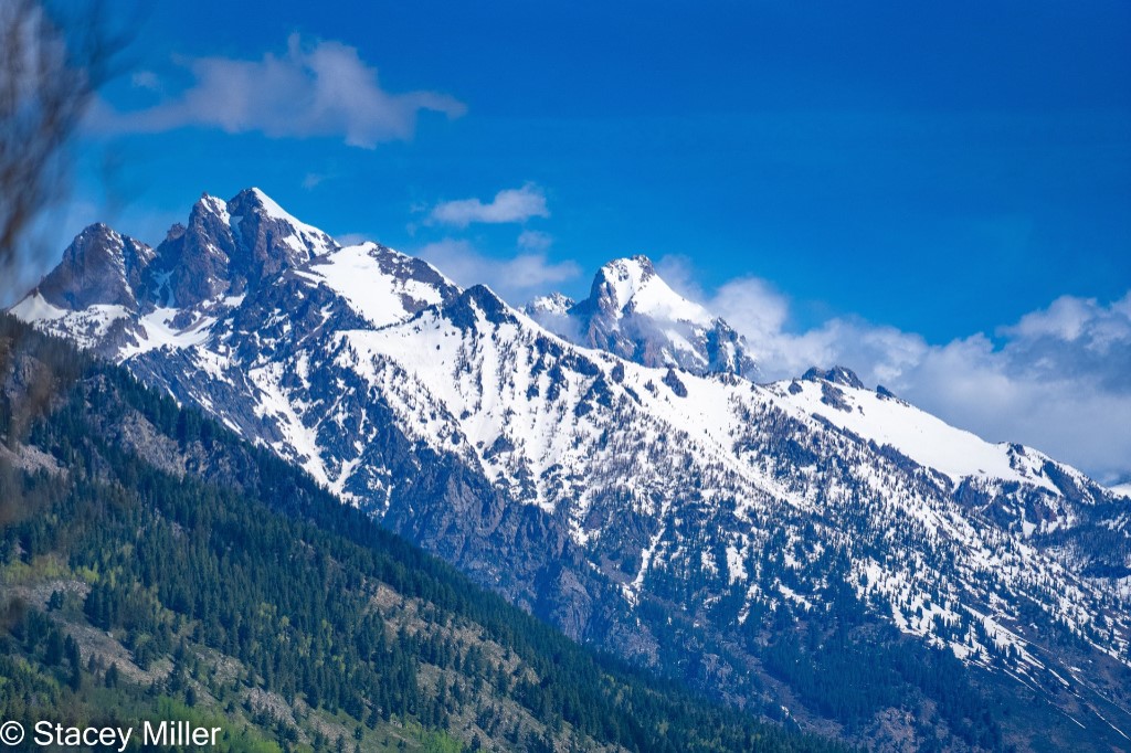 Grand Teton Morning