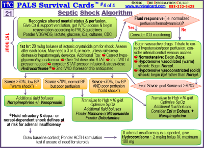 bcb survival instructions pdf