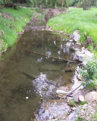 Restored Stream - New York