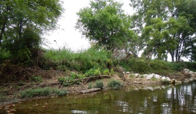 Completed Stream Restoration Project - Missouri