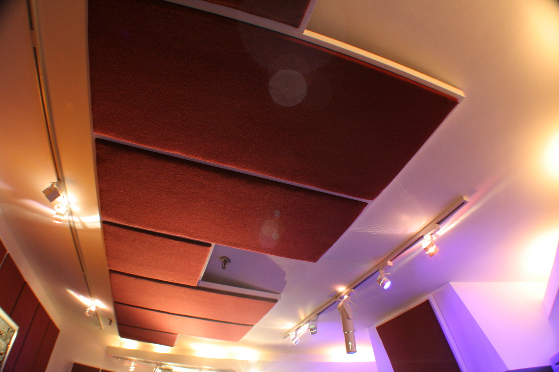          Custom Acoustics