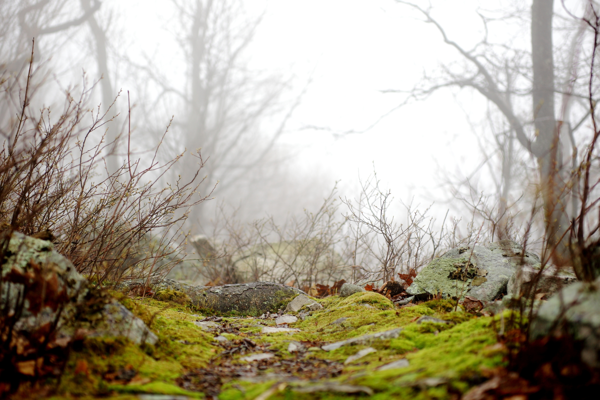 Contemplative Leadership