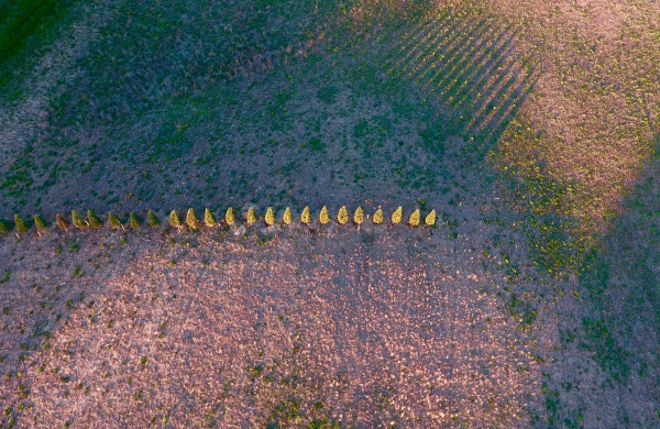 King City, Ontario, Canada, aerial, photography, above image, drone