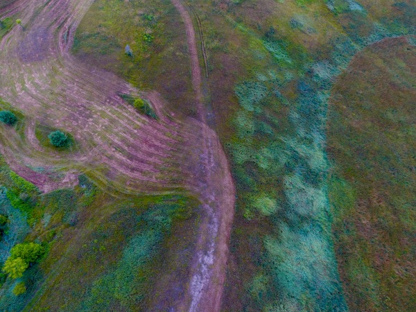 King City, Ontario, Canada, aerial, photography, above image, drone