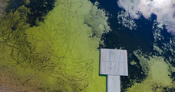 Cold Creek Conservation Area, Ontario, Canada, aerial, photography, above image, drone