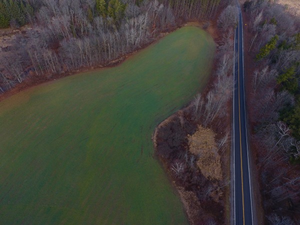 King City, Ontario, Canada, aerial, photography, above image, drone