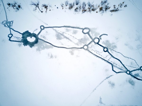 Pine orchard farm, King City, Ontario, Canada, aerial, photography, above image, drone