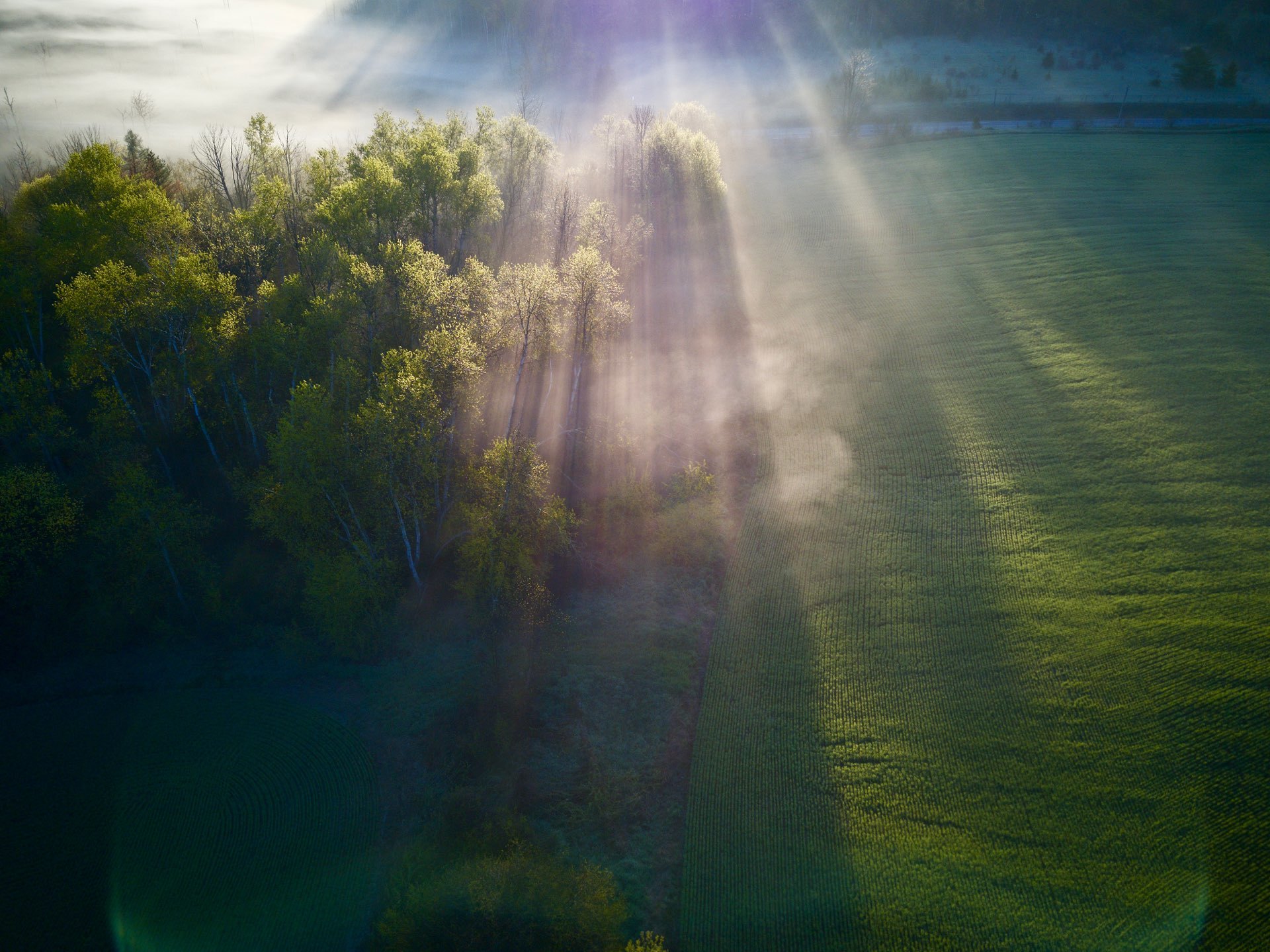 King City, Ontario, Canada, aerial, photography, above image, drone