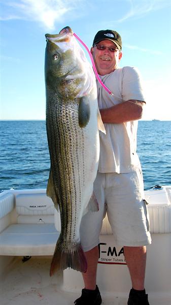  Trolling Tubes For Stripers