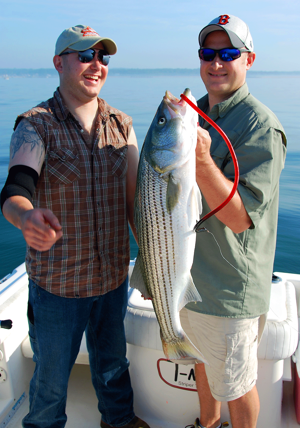 Been a while since I'be caught a striper this big. Surprised me and bit my  custom swimbait on the troll. . . . . . . . #striper…