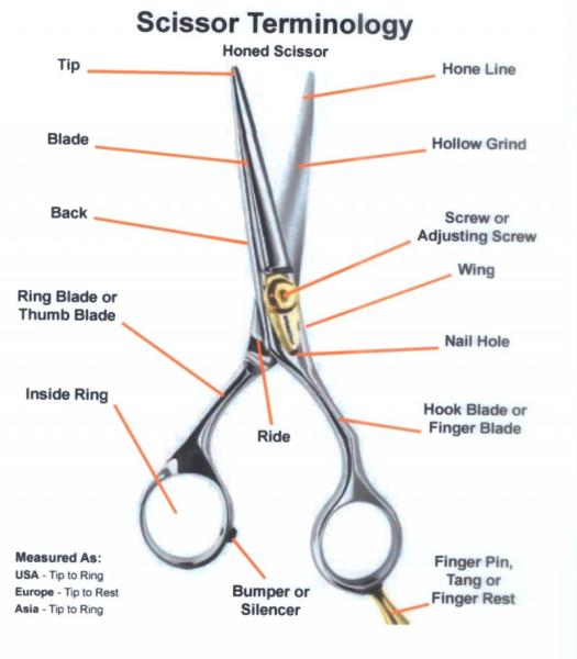 Sharpening Blades on Professional Hairdressing Scissors - Scissor