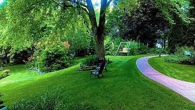 Maintenance  & Lawn Care