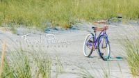 Focal Points Photography - Bike on the beach . . .