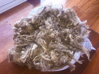 Raw and skirted fleeces; Mohair batts, top roving; hand-spun yarns