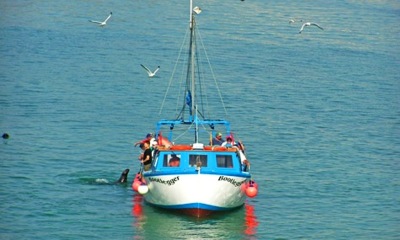 Private Boat Charter 2hrs - Newquay Fishing Trips