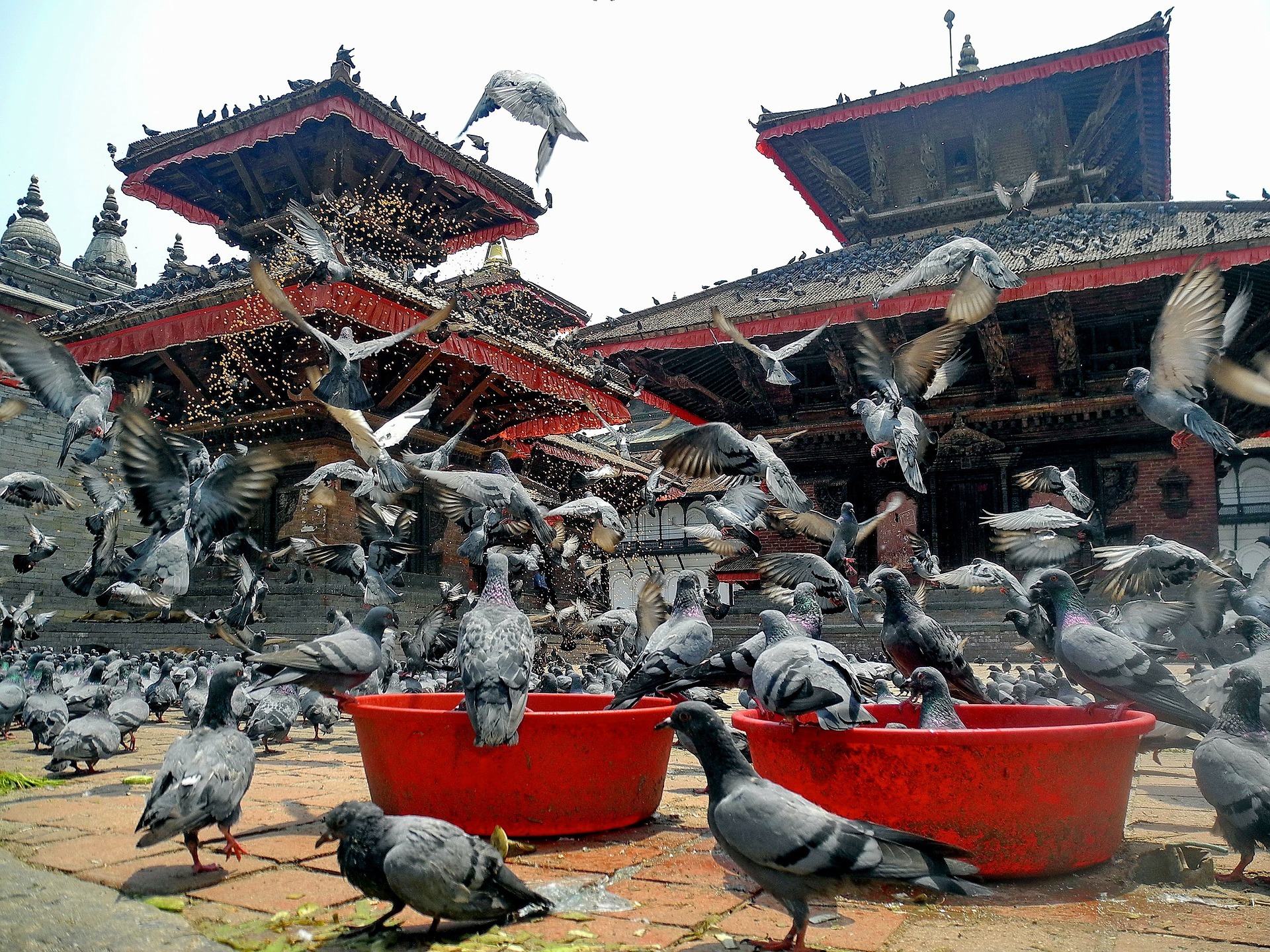 kathmandu-96564_1920
