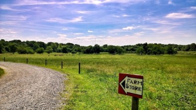 Farm Visits & Tours