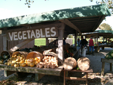       Farm Stands