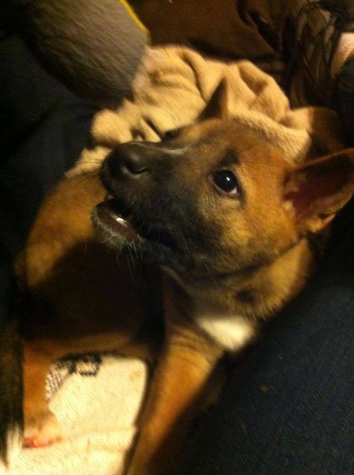 Journey The Road Less Traveled