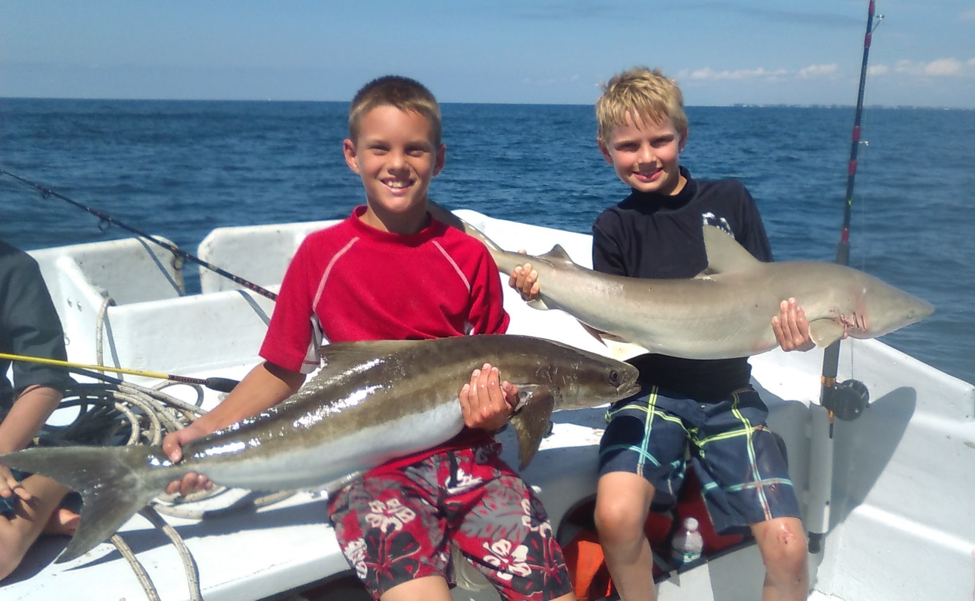 Deep sea fishing anna maria island