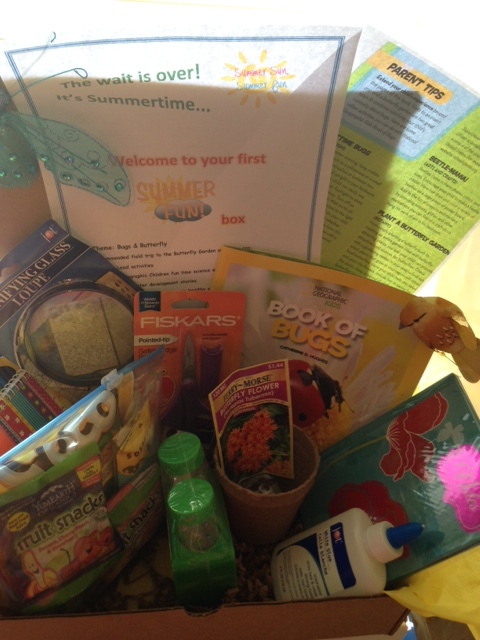  Monthly ART & SCIENCE  FUN Box  K-5 grade 
