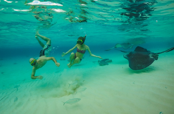 Snorkeling at Stingray City