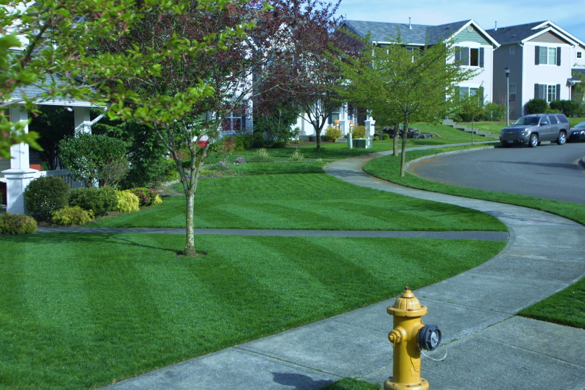 Lawn Care Customer DuPont,Wa 98327