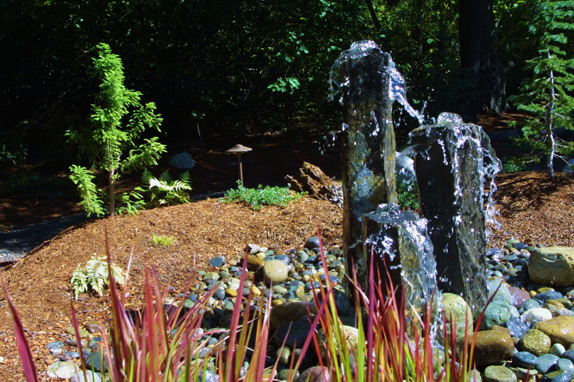 Landscaping and water feature maintenance Olympia, DuPont, Lacey,Wa