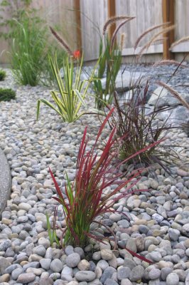 landscaping, River rock and grass installation. Landscape Design and Installation Olympia, Wa