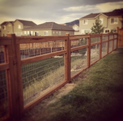 New Fence