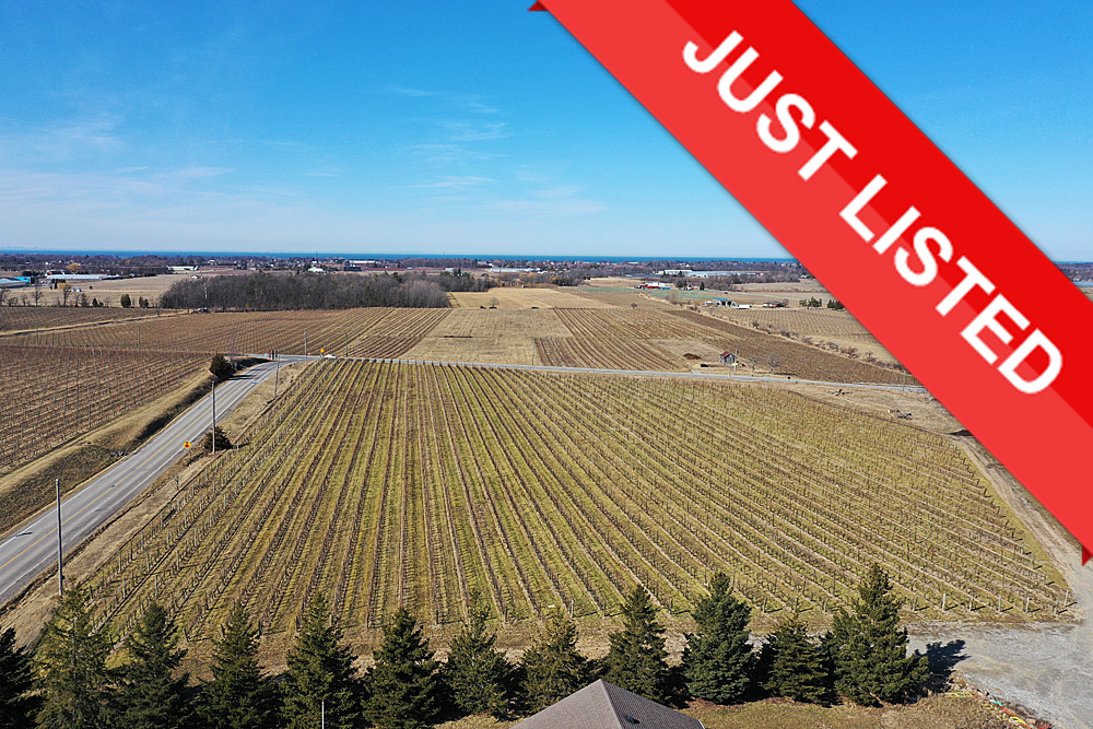 Winery for sale, vineyard for sale, farm for sale, Niagara winery, Ontario farm for sale