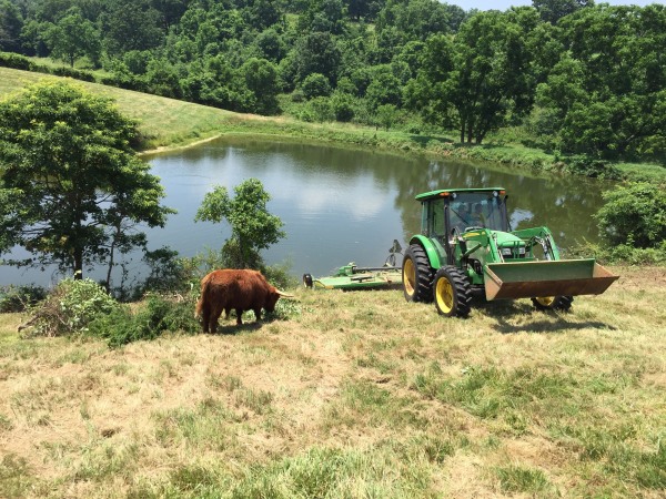 Fred helping clean up around the pond