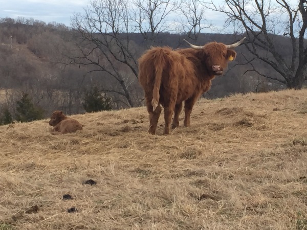 Mommy and her baby