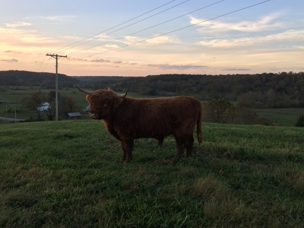 Fred and the sunset